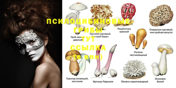 герыч Строитель
