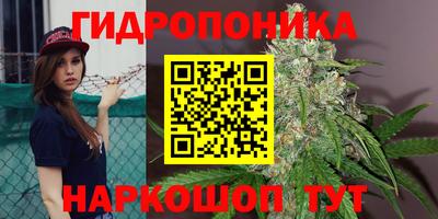 PSILOCYBIN Моздок