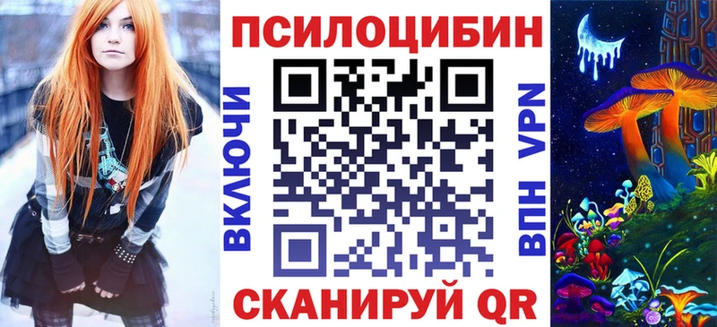 что такое   Тара  Псилоцибиновые грибы Cubensis 