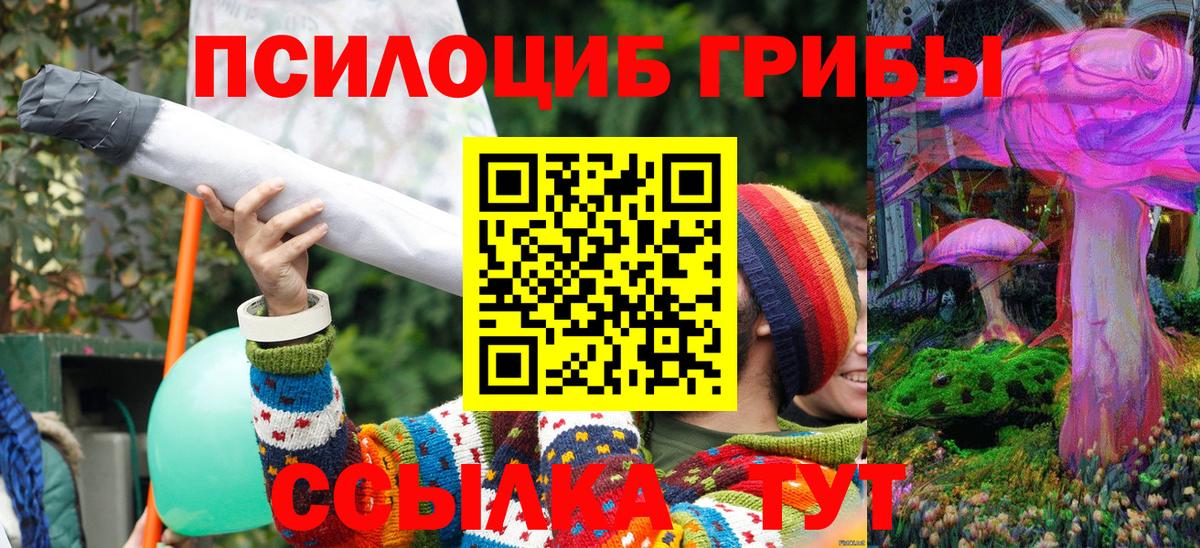 Псилоцибиновые грибы мухоморы  Галлюциногенные грибы GOLDEN TEACHER  Вход с VPN  где купить наркоту  Тара 