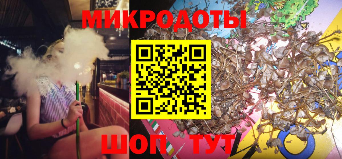 Псилоцибиновые грибы прущие грибы Тара