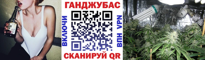 Шишки марихуана планчик  хочу наркоту  Тара 