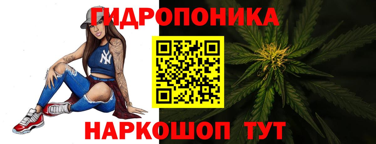 Канабис White Widow  МАРИХУАНА индика  Тара  Шишки марихуана семена  Вход с VPN 